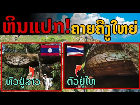 laos:หินแปลก!!พบหินรูปร่างคล