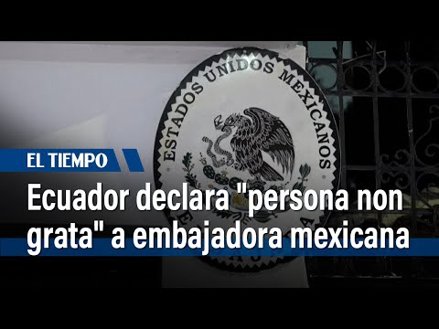 Ecuador declara persona non grata a embajadora mexicana tras críticas de López Obrador | El Tiempo