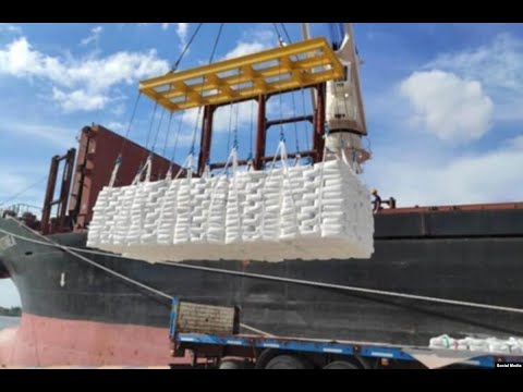 Info Martí | ¡Llega harina de trigo a Cuba!
