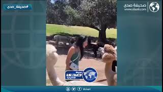 تستاهل اللى جاها