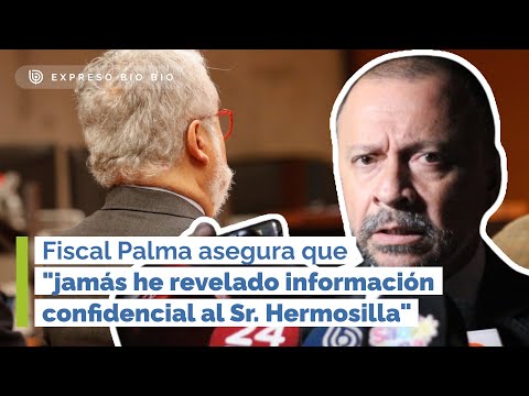 Fiscal Palma asegura que jamás he revelado información confidencial al Sr. Hermosilla