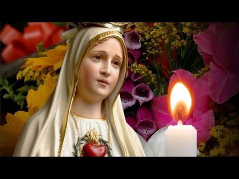 ? SANTO ROSARIO A NUESTRA SEÑORA DE FÁTIMA.  MIÉRCOLES 17 DE JULIO DE 2024. MISTERIOS GLORIOSOS