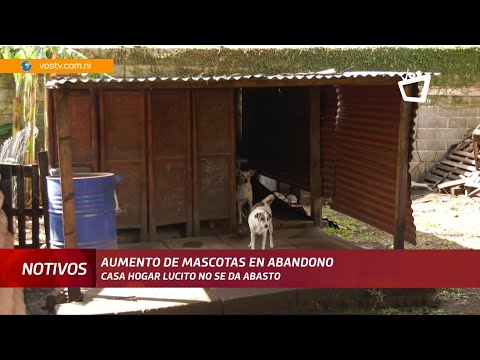 Casa hogar Lucito no logra cubrir gastos para continuar con su labor