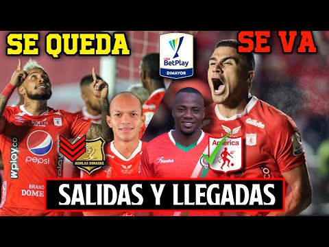 ACTUALIDAD DEL AMÉRICA DE CALI ??últimos movimientos en le mercado| Guillermo Murillo y Pérez ?