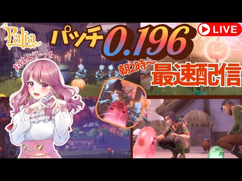 【Palia】パッチ0.196最速配信!ハロウィン楽しみだ✨🎃【パリア】【ライブ配信】