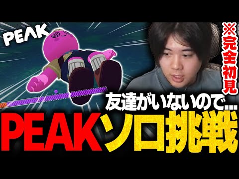 おい このゲームソロに厳しくないか？【PEAK】