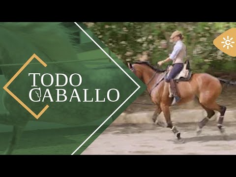 TodoCaballo | Doma y faenas de campo