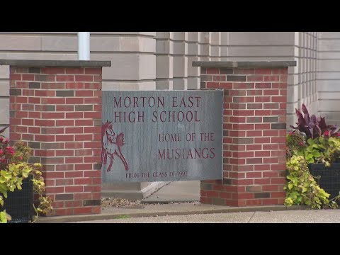 Cybersecurity expert suspects hackers caused Morton High School District 201 website outage