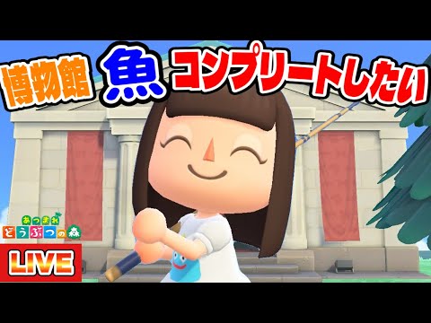 【あつ森】博物館に寄贈してない魚をとっつかまえる生配信【あつまれどうぶつの森】