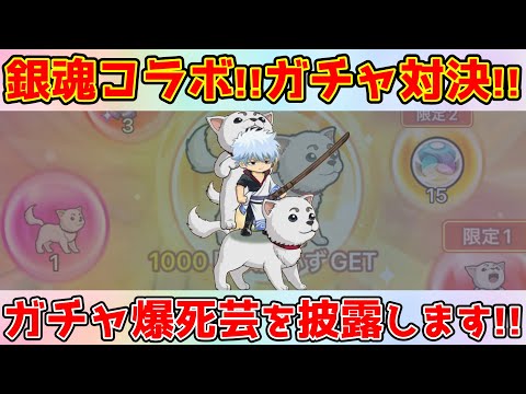 【キノコ伝説】コラボ限定！上級騎乗『定春』を求めてオジサン2人のガチャ爆死芸を披露！！