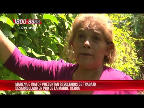 INAFOR y MARENA detallan actividades en pro del medio ambiente – Nicaragua