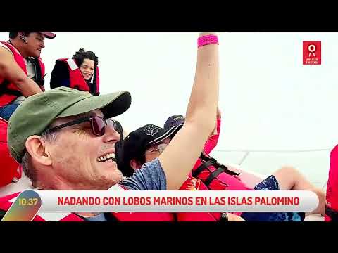 Paseo por Fiestas patrias: descubre piratas y lobos marinos en el Callao