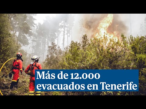 Más de 12.000 evacuados en el incendio de Tenerife
