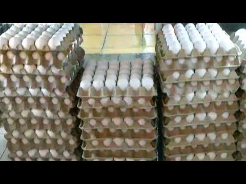 San Pedro Sula: Cartón de huevos baja de precio