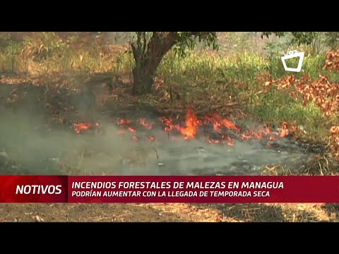 Incendios de malezas en Managua podrían aumentar con la llegada de temporada seca