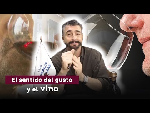 ¿Cómo percibimos el sabor del vino a través del sentido del gusto