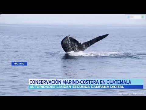 CONAP lanza Conservación Marino-Costera en Guatemala