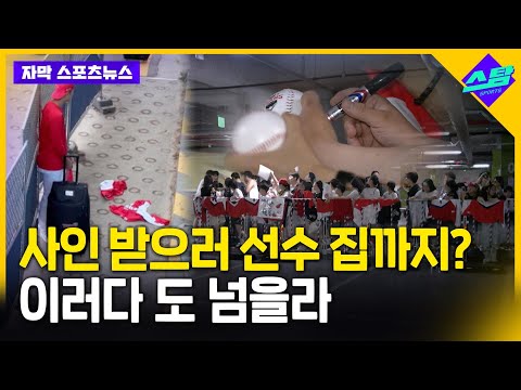 프로야구 사인 문화..구단도 팬들도 기준 있어야