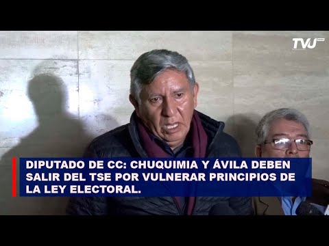 SEGÚN DIPUTADO DE CC, CHUQUIMIA Y ÁVILA DEBEN SALIR DEL TSE POR INFRINGIR LA LEY ELECTORAL