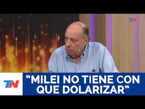 Milei no tiene con que dolarizar: Roberto Cachanosky, economista.