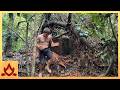 Primitive Technology Brick hut destroyed by falling tree