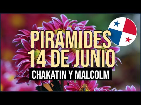 Pirámide Lotería de Panamá Miércoles 14 de Junio 2023  - Pirámide de Chakatin y Malcolm Ramos