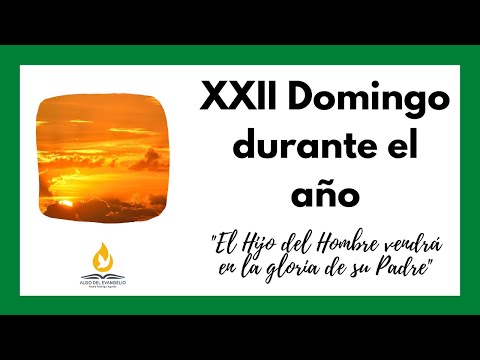 EVANGELIO DE HOY -XXII Domingo durante el año-30 de agosto-Mateo 16, 21-27-El hijo del hombre vendrá