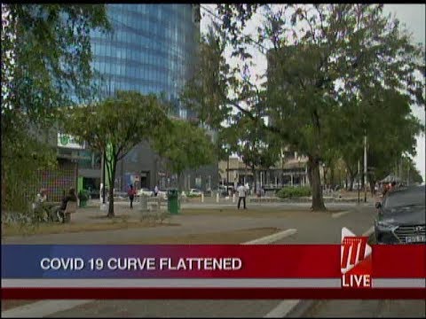 Health Minister: COVID Curve Flattened