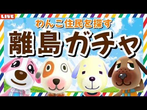【あつ森】全員犬の住民で揃えたい！可愛いわんこ島を作るための離島ガチャLIVE配信【あつまれ どうぶつの森】