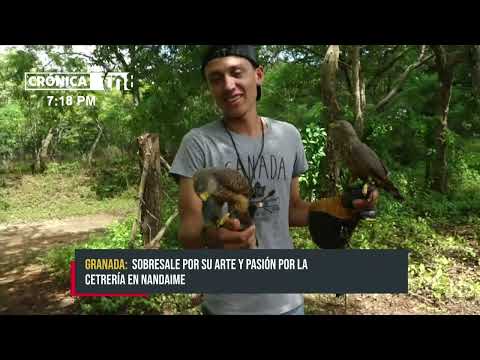 Nandaime: Joven lucha por alcanzar un sueño a través de sus aves - Nicaragua
