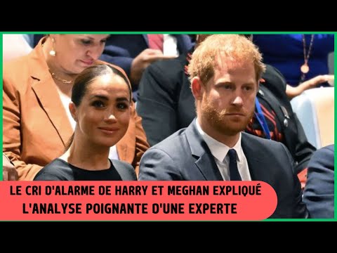 Prince Harry et Meghan Markle : Leur crise de?voile?e par une Spe?cialiste