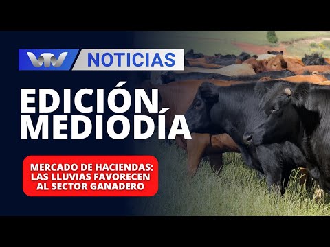 Edición Mediodía 16/04 | Mercado de haciendas: las lluvias favorecen al sector ganadero