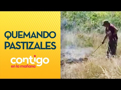 ES INCOMPRENSIBLE: Detienen a hombre quemando pastizales en Puerto Montt - Contigo en La Mañana