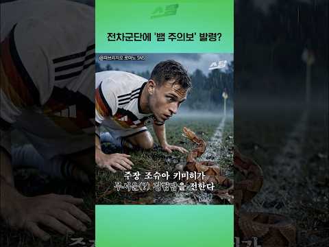 전차군단에 뱀 주의보 발령?