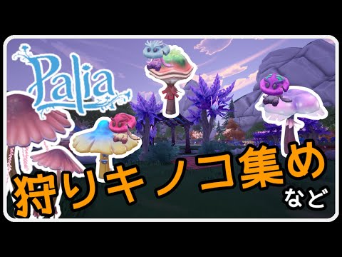 Palia 1396 深淵なる森の奥底、我が魂を賭けてキノコの狩りに赴く…光と闇なる力を纏い未知なる運命の道を切り開け！