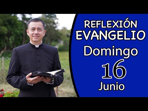 Evangelio de Hoy Domingo 16 de Junio de 2024. Lectura y Reflexión.