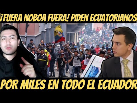 ¡Se armó el DESPELOTE! Piden la salida de Daniel Noboa por MENTIR al ECUADOR