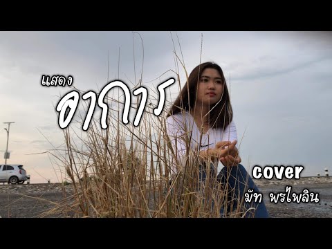 แสดงอาการ-มัทพรไพลิน(cover