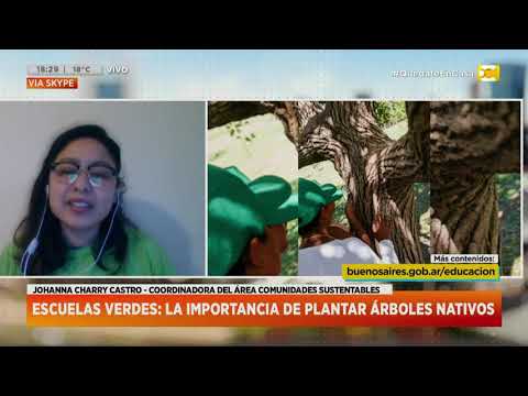 Día del árbol: Vamos a contar el origen y el objetivo del Día del Árbol en Argentina en Hoy Nos Toca
