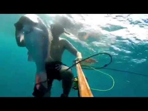 spearfishing compilation 2015