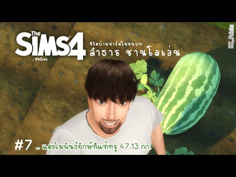 The-Sims-4-|--บ้านฟาร์ม-พี่ลำธ The-Sims-4-|--บ้านฟาร์ม-พี่ลำธ