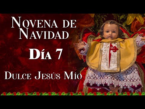 Novena de NAVIDAD al Niño Dios - Día 7  #navidad #novena