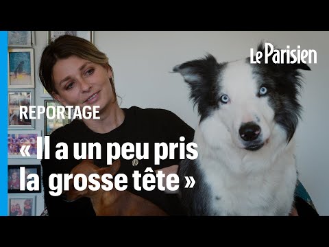 Laura revient sur l'incroyable destin de son chien Messi, star des Oscars