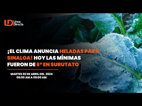 José Ignacio fue atacado por varios hombres: balean a un hombre al oriente de Culiacán