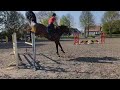Show jumping horse 6j springpaard, Orlando x Clinton
