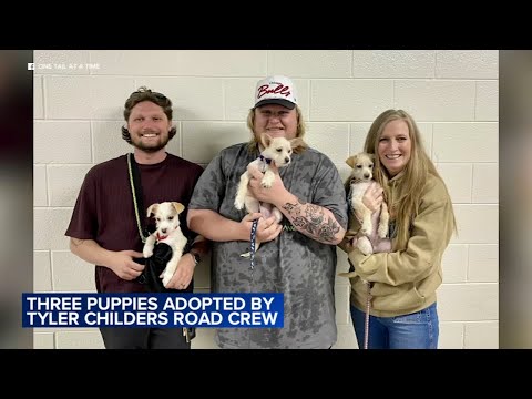 3 puppies from Texas brought to United Center concert, adopted by Tyler Childers road crew