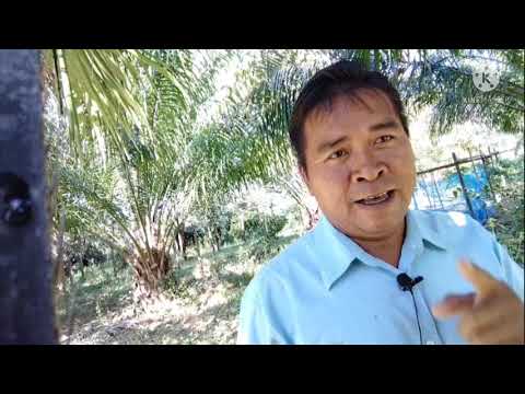 เกษตรกรต้องขยันอีกแค่ไหน-ต้องเ เกษตรกรต้องขยันอีกแค่ไหน-ต้องเ