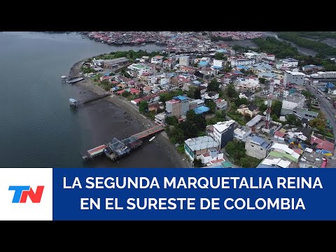 COLOMBIA: Entre coca y obra social, la Segunda Marquetalia reina en la frontera con Ecuador