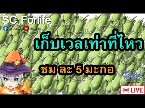 ROGGTEP654:เวลในแดนมะกอแลน