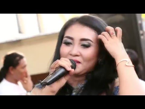 BADAI BIRU   ANI ARLITA   NEW PALLAPA LIVE GRESIK 2016